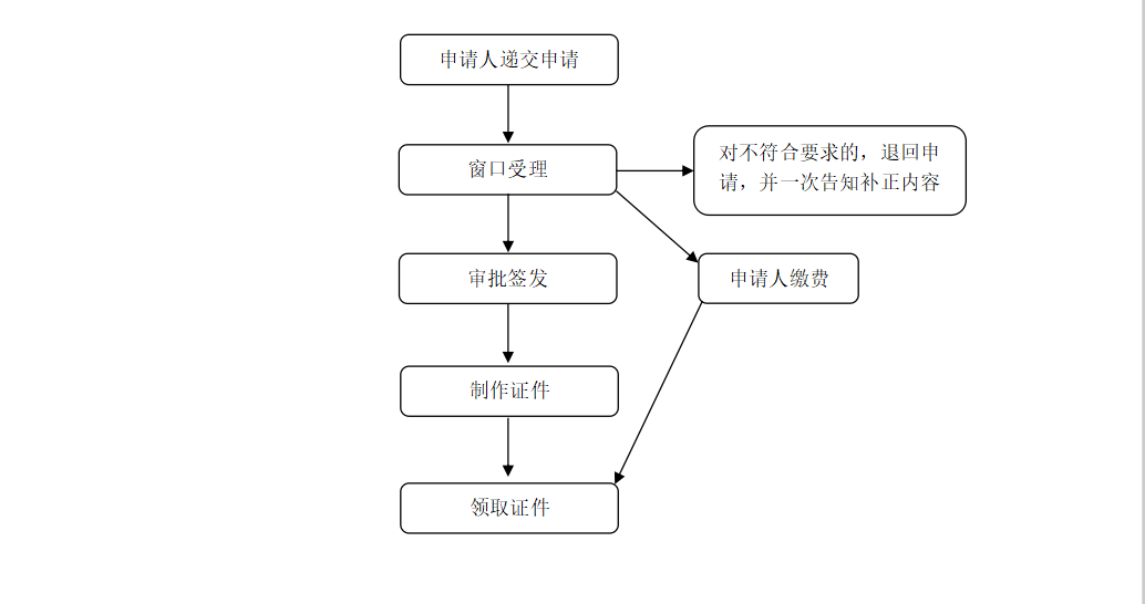 Document issuance flow chart